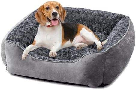 JOEJOY Dog