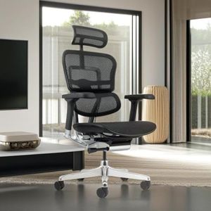 AMPLE SEATING’S Ergohuman Ergonomic Chair with Any Position Synchro Locking and 5-Dimensional Armrest