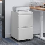 RAVIGIN 2 Drawers Mobile Filing Cab