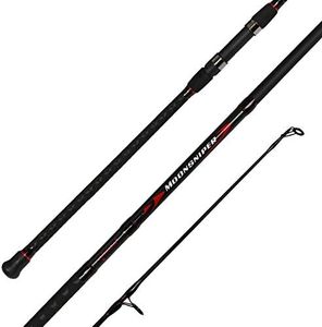 Fiblink Surf Spinning Fishing Rod 2-Piece Carbon Travel Fishing Rod (Length: 10')