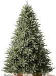 Balsam Hill 6.5ft Unlit Classic Blu
