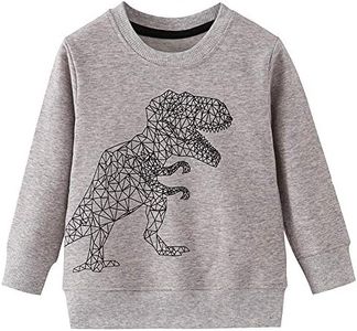 amropi Ropa Dinosaurios Niño Camiseta Manga Larga Tops Casual Sudadera para niños pequeños 2-7 años(7 años,Gris)