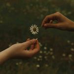 Time It Takes (Transparent Marigold