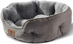 Asvin Small Dog Bed for Small Dogs,