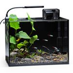 NICREW Nano Nature Aquarium Kit, 2.5 Gallon, Complete Version, Ultra-Clear Rimless Desktop Fish Tank with Filter, Light, Natural Gravel, River Rock and Starter Guide