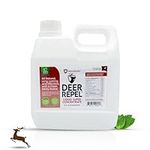 Predator Guard Deer Repellent - All Natural Animal Repellent Outdoor 16 oz Super Concentrate Liquid Lawn Spray for Deer, Elk, Moose and Rabbit - Treats up to 16,000 Sqft