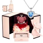 Preserved Rose Moss Bear with 925 Silver Heart Necklace - LED Light Gifts for Mom, Wife, Girlfriend on Valentine's Day, Mother's Day, Christmas, Birthdays