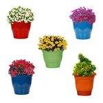 Kraft Seeds by 10CLUB Plastic Deluxe Flower Pots (5 Pcs, 10 Inch, Multicolor) | Planters for Home Garden | Plant Pots for Lawns and Gardens | Planting Pots for Balcony and Terrace