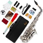 SLADE Saxophone Eb Alto Saxophone for Beginner Students, Saxaphone Adult, Saxophone Alto, Beginner Saxophone, Alto Saxaphone, Saxofon Alto, Saxophone, Silver