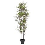 Blooming Artificial - Black Stem Bamboo Tree, Realistic Artificial Plant for Garden, Home, and Office, Year Round Decorative Foliage, UV and Water Resistant (Green) (170cm)