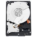 Western Digital Black - 3.5 inch 1TB Desktop SATA Hard Drive - OEM