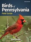 Birds of Pennsylvania Field Guide (