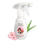 Disinfectant Spray For Dogs