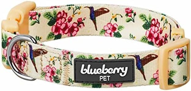 Blueberry Pet Verstellbares Hundehalsband, Blumen- und Kolibri-Design, Zitronen-Chiffon, klein, Halsumfang 30,5 - 40,6 cm