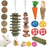 Grddaef 20 PCS Bunny Chew Toys for 
