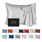 Mulberry Silk Pillowcase for Hair and Skin,Cooling Silk Pillow Case with Hidden Zipper,Allergen Proof Dual Sides Soft Breathable Smooth Silk Pillow Cover for Women. (Light Gray, Standard(20"x26"))