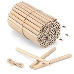 Navaris Bamboo Bee Nesting Tubes (Pack of 60) - 15 cm (5.9 in) Long Tube for Mason Solitary Bees - for Filling Insect Hotels and Bug Houses