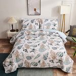 Coastal Reversible Quilt Set Full/Queen Beach Bedspreads Conch Shell Starfish Coral Seahorse Bed Cover Lightweight Soft Breathable Coverlet Blanket Seaside Cottage Decor-Blue Green White