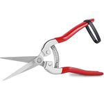 Small Pruning Shears