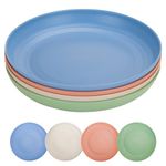 CSYY 10 Inch Large Camping Plates Set, 4pcs Plastic Plates Deep Dinner Plates Set, Unbreakable Picnic Plates for Salad, Pasta, Party, Home, Microwave and Dishwasher Safe