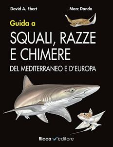 Guida a sq