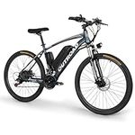 PanAme 26'' Electric Bicycle with 4