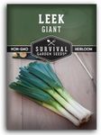 Giant Leek Seed for Planting - 1 Packet with Instructions to Plant and Grow Enormous Leeks in Your Home Vegetable Garden - Non-GMO Heirloom Variety - Survival Garden Seeds