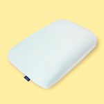 Casper Sleep Hybrid Snow Pillow, St