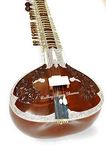 Sitar, Professional Pt Ravishankar style Rose Decorations Sitar by Radhey Shyam Sharma