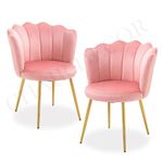 CHAIR DECOR Crown Plush Dining Chair | Set of 2 Accent Chair for Living Room, Bedroom, StudyRoom| Modern Armchair in Velvet Fabric with Golden Legs (Baby Pink)