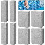 LFUTARI 8 Pcs Pools Pumice Stone - 