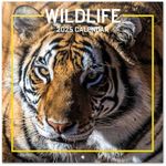 Wildlife Wall Calendar 2025 12" x 1