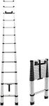 RecPro RV Telescoping Ladder 12.5ft Compatible with Lippert On-The-Go Prepped Units