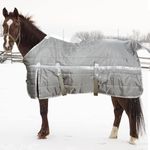 Winter Blanket For Horses