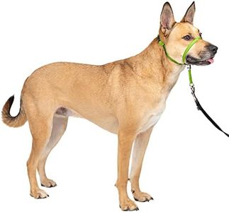 PetSafe Gentle Leader No-Pull Dog Headcollar - The Ultimate Solution to Pulling - Redirects Your Dog's Pulling for Easier Walks - Helps You Regain Control - Medium, Apple Green
