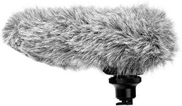 Canon 2591B002 DM-100 Directional Stereo Microphone for HF/HG Series Camcorders , black