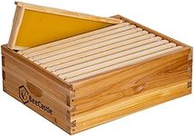 BeeCastle 10 Frame Medium Super Bee
