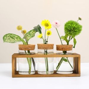 Pechaut Propagation Stations, Plant Terrarium for Indoor Hydroponic Decor, Glass planters for Fresh Cuttings, Unique Birthday Gifts for Women & Mom, Home/Office Decor