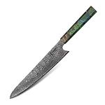 hajegato Damascus Chef Knife Gyuto Unique One of Kind Handle Professional 10 inch Japanese Chefs Kitchen Knife VG10, 67 Layers Damascus Steel Knive