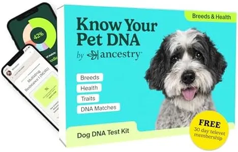 Ancestry D