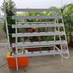 WE Hydroponics 42 Planter Hydroponics (NFT/DFT) System – Home Hydroponics kit with Stand (Vertical Half A Shaped)