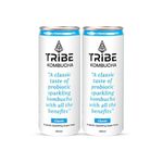 Tribe Kombucha Naturally Sparkling Probiotic Super Drink|Secret Recipes with Herbs & Spices | Gut Friendly | Gluten free | Immunity Booster | Antioxidant and Hydration | Classic |250 ML (Classic, 4)