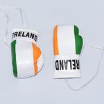 PAIR 3.5" Mini Boxing Gloves Car Hanging Van Rear Mirror sports Gift Flag Key (Ireland)