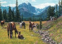 Cobble Hill 1000 Piece Puzzle - Horse Meadow - Sample Poster Included