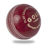 Cricnix Cricket Ball Gold Red Leather 142g (1-Pack) for Practice or Training