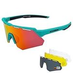 ROCKBROS Polarized Cycling Glasses 