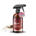 REPELEM Spider Repellent Spray - Natural Peppermint Oil Spray, Non-Toxic, Pet Safe for The Home, High Efficacy, Indoor & Outdoor Mint Scented Spider Deterrent - 250ml