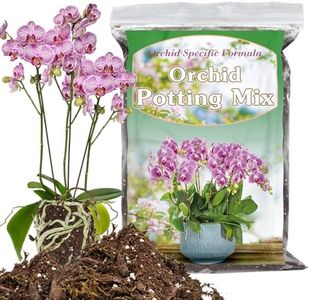 Orchid Pot