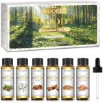 EUQEE 10ml Woody Essential Oils Set - Pure Essential Oils for Aromatherapy, Diffuser, Candle Making - Eucalyptus, Cedarwood, Sandalwood, Frankincense, Cinnamon