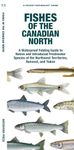 Fishes of the Canadian North: A Folding Guide to Native and Introduced Freshwater Species of the Northwest Territories, Nunavut and Yukon